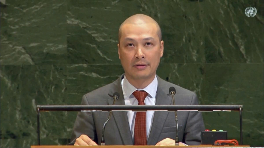 Vietnam calls for swift global action to address Gaza, Middle East crises